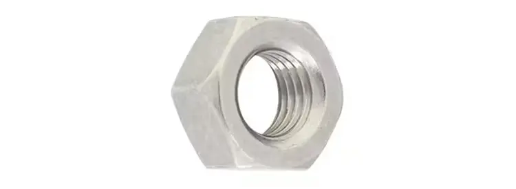 M10 304 Hex Nut